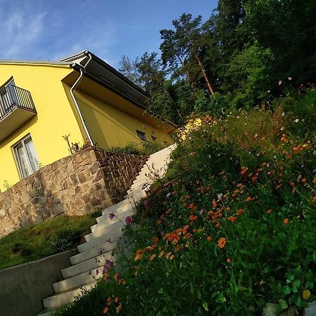 Horakov 梅姿斯托米旅馆酒店 外观 照片
